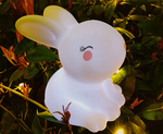 Baby night led Unicorn / Rabbit / Flamingo Lamp