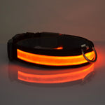 Anti lost & avoid car accident LED dog collar