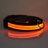 Anti lost & avoid car accident LED dog collar