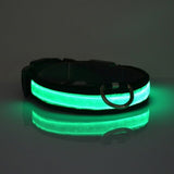 Anti lost & avoid car accident LED dog collar