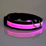 Anti lost & avoid car accident LED dog collar