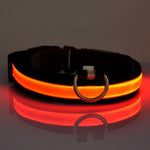 Anti lost & avoid car accident LED dog collar